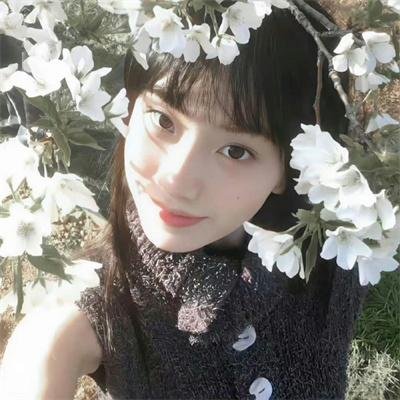美眉校探 第二季 在线观看