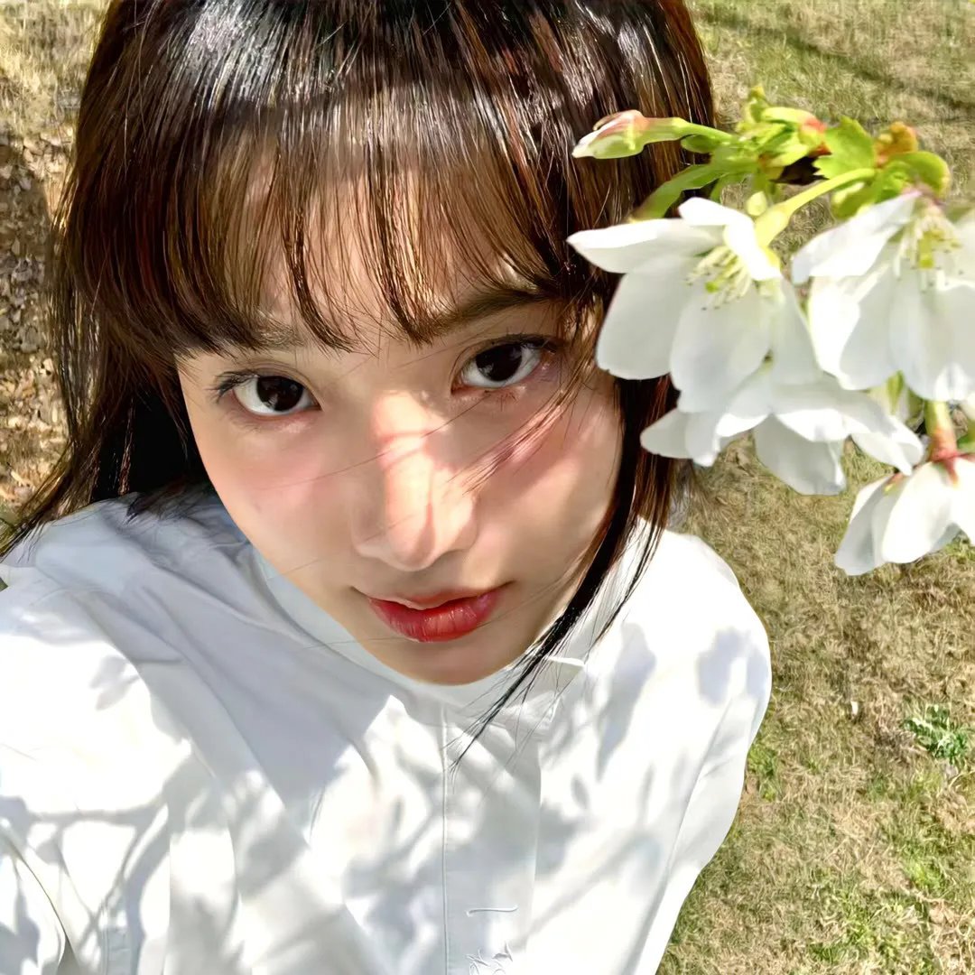 战鼓平息 在线观看